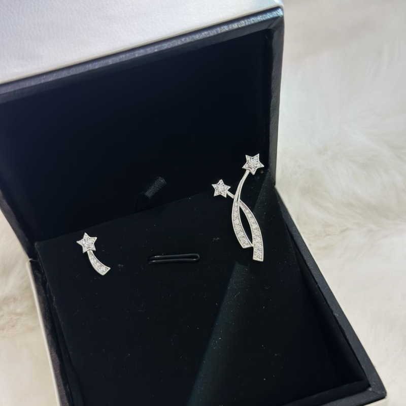 Ch*el earrings